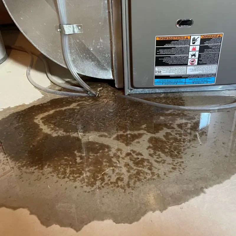 Pipe Burst and Leak Restoration in Bentleyville, PA