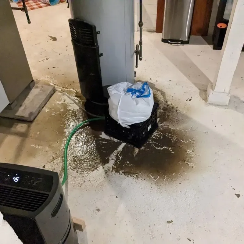 Sewage Backup Cleanup Service in Bentleyville, PA